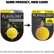 Show in main carousel: Playology Chicken Scented Squeaky Chew Ball Dog Toy, Medium slide 2 of 9