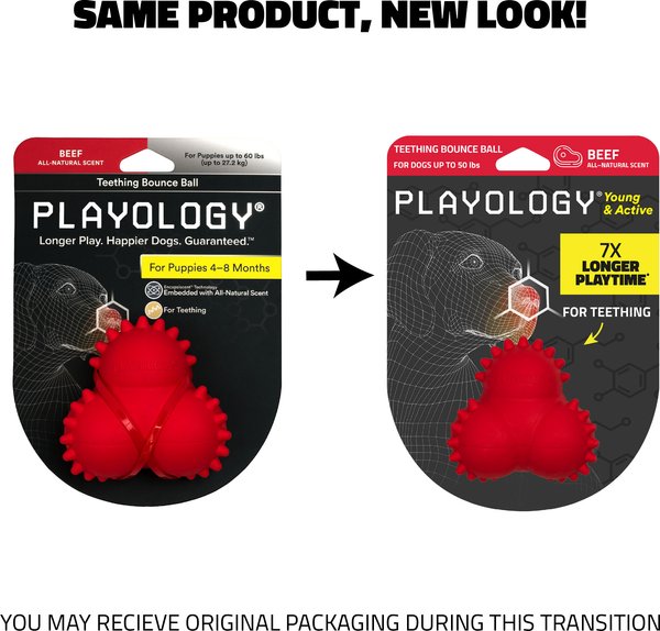 Show full view: Playology Beef Scented Young & Active Teething Bounce Ball Dog Toy, Medium slide 2 of 10