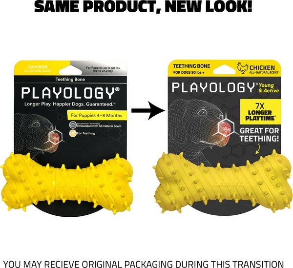 Show full view: Playology Chicken Scented Young & Active Teething Bone Dog Toy, Jumbo slide 2 of 10