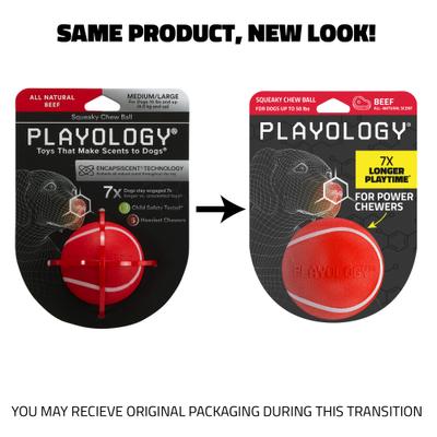 Show full view: Playology Beef Scented Squeaky Chew Ball Dog Toy, Medium slide 2 of 10