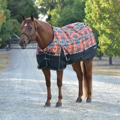 WeatherBeeta ComFiTec Essential Standard Neck 220G Horse Turnout, Western Sunset Print, 75-in