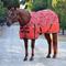 Show in main carousel: WeatherBeeta ComFiTec Essential Standard Neck 220G Horse Turnout, Rodeo Print, 72-in slide 1 of 2