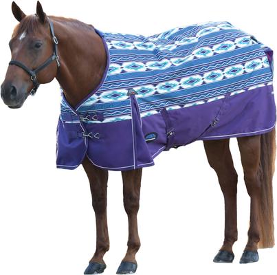 Show full view: WeatherBeeta ComFiTec Essential Standard Neck 220G Horse Turnout, Purple Navajo Print, 63-in slide 2 of 2