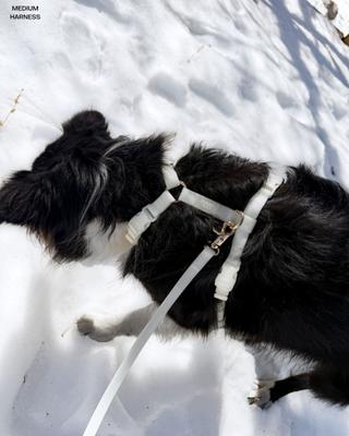 Show full view: Sunny Tails Cloud Lite Waterproof Dog Harness, Lunar Glow, Small: 15 to 21-in chest slide 5 of 10