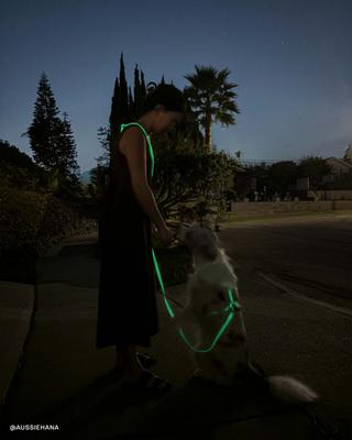 Show full view: Sunny Tails Cloud Lite Waterproof Metal No-Pull Dog Harness, Lunar Glow, Small: 15 to 21-in chest slide 7 of 10