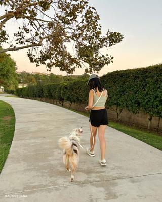 Show full view: Sunny Tails 4-in-1 Convertible Hands Free Cloud Dog Leash, 8.5-ft long, 5/8-in wide, Lunar Glow slide 5 of 12