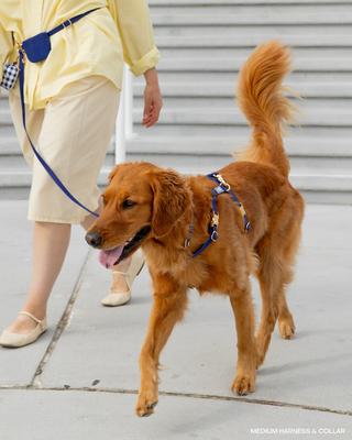 Show full view: Sunny Tails Cloud Lite Waterproof Metal No-Pull Dog Harness, Signature Navy, Small: 15 to 21-in chest slide 2 of 8