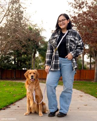 Show full view: Sunny Tails Cloud Lite Waterproof Metal No-Pull Dog Harness, Lavender Haze, Medium: 20 to 29-in chest slide 5 of 9