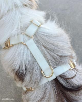 Show full view: Sunny Tails Cloud Lite Waterproof Metal No-Pull Dog Harness, Lunar Glow, Small: 15 to 21-in chest slide 8 of 10