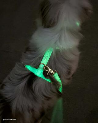 Show full view: Sunny Tails Cloud Lite Waterproof Metal No-Pull Dog Harness, Lunar Glow, Small: 15 to 21-in chest slide 6 of 10