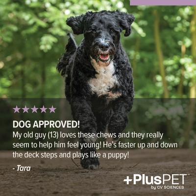 Show full view: +PlusPET Pet Hip & Joint Health Beef & Bacon Flavored Soft Chew Full Spectrum Hemp Extract Joint Health Supplement for Dogs, 30 count slide 7 of 10