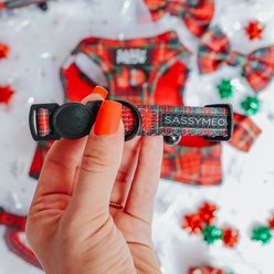 Sassy Woof Deck the Paws Cat Collar, Small: 6 to 8-in neck, 2/5-in wide slide 2 of 5