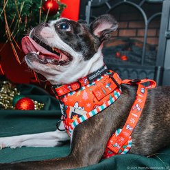 Sassy Woof Peanuts Beagle Bells Adjustable Dog Harness, X-Small: 14 to 19-in chest slide 2 of 7