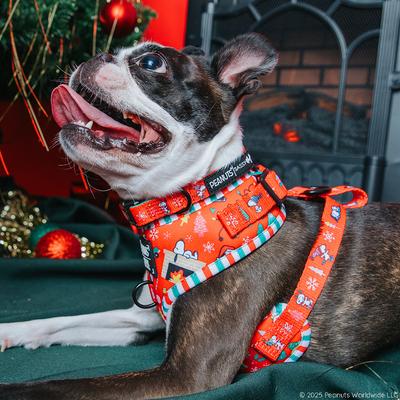 Show full view: Sassy Woof Peanuts Beagle Bells Adjustable Dog Harness, Medium: 18 to 25-in chest slide 8 of 8