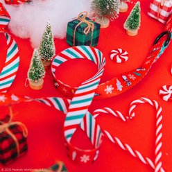 Sassy Woof Peanuts Beagle Bells Dog Leash, 5-ft long, 4/5-in wide slide 2 of 6