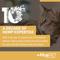 Show in main carousel: +PlusPET Daily Balance Chicken Flavored Full Spectrum Hemp Extract Oil Supplement for Dogs & Cats, 1.86-fl oz bottle slide 5 of 8