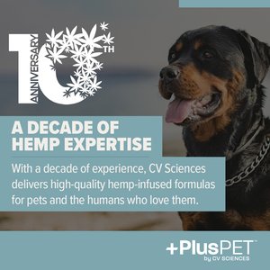 +PlusPET Pet Daily Balance Softgel Full Spectrum Hemp Extract Health Supplement for Large Breed Dogs, 30 count