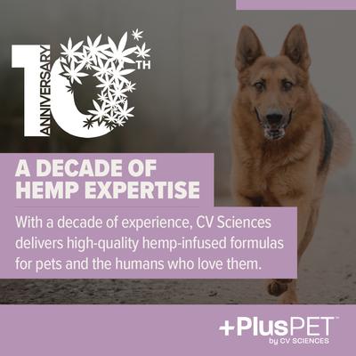 Show full view: +PlusPET Pet Hip & Joint Health Beef & Bacon Flavored Soft Chew Full Spectrum Hemp Extract Joint Health Supplement for Dogs, 60 count slide 3 of 9