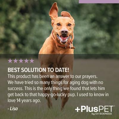 Show full view: +PlusPET Pet Hip & Joint Health Beef & Bacon Flavored Soft Chew Full Spectrum Hemp Extract Joint Health Supplement for Dogs, 60 count slide 6 of 9