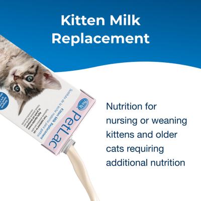 Show full view: PetAg PetLac Kitten Milk Replacement Liquid for Kittens, 32-fl oz carton slide 3 of 12