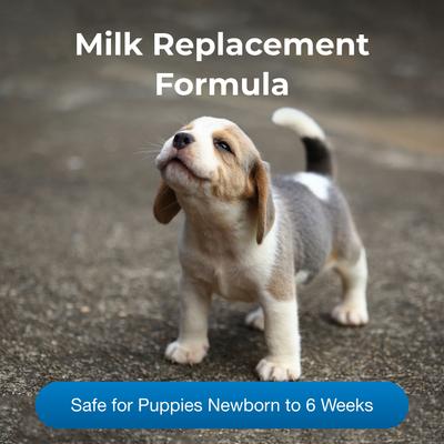 Show full view: PetAg PetLac Puppy Milk Replacement Liquid for Puppies, 32-fl oz carton slide 4 of 12