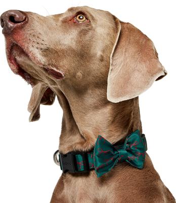 Show full view: Frisco Christmas Bows Print Dog Collar with Removable Bow, L/XL: 18 to 26-in neck, 1-in wide slide 3 of 10