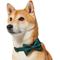 Show in main carousel: Frisco Christmas Bows Print Dog Collar with Removable Bow, M: 14 to 20-in neck, 3/4-in wide slide 3 of 10
