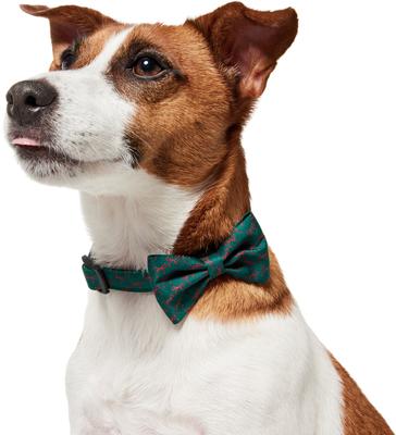 Show full view: Frisco Christmas Bows Print Dog Collar with Removable Bow, S: 10 to 14-in neck, 5/8-in wide slide 4 of 11