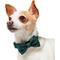 Show in main carousel: Frisco Christmas Bows Print Dog Collar with Removable Bow, XS: 8 to 12-in neck, 5/8-in wide slide 3 of 10