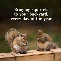 C&S Sweet Corn Squirrelog Refill, 2-lb slide 2 of 9