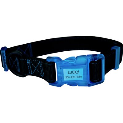 Sporn Sporn Personalized ID Dog Collar, Black/Blue, Medium