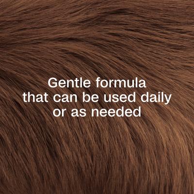 Show full view: Adams Botanicals Flea & Tick Pet & Home Spray, 16-fl oz bottle slide 4 of 10