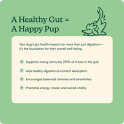 Reggie Pumpkin Probiotic Powder Pumpkin & Apple Flavored Digestive Aid Supplement for Dogs, 40 servings slide 2 of 8