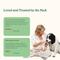 Show in main carousel: Reggie Pumpkin Probiotic Powder Pumpkin & Apple Flavored Digestive Aid Supplement for Dogs, 40 servings slide 7 of 10