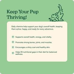 Reggie Morning Multivitamin Pork Flavored Soft Chew Multivitamins for Dogs, 60 count slide 2 of 6