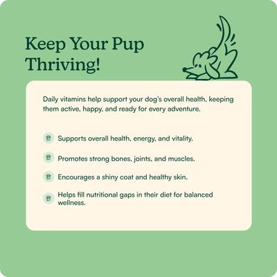 Show full view: Reggie Morning Multivitamin Pork Flavored Soft Chew Multivitamins for Dogs, 60 count slide 4 of 8