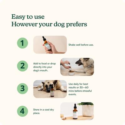 Show full view: Reggie Anytime Calming Drops Chicken Flavored Liquid Calming Supplement for Dogs, 60-mL bottle slide 7 of 8