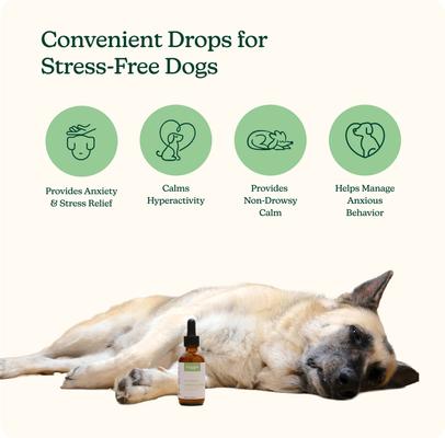 Show full view: Reggie Anytime Calming Drops Chicken Flavored Liquid Calming Supplement for Dogs, 60-mL bottle slide 3 of 8