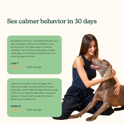 Show full view: Reggie Anytime Calming Chew Peanut Butter & Pork Flavored Soft Chew Calming Supplement for Dogs, 60 count slide 7 of 8