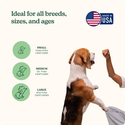 Show full view: Reggie Evening Skin & Coat Chew Pork Flavored Soft Chew Skin & Coat Supplement for Dogs, 60 count slide 5 of 8