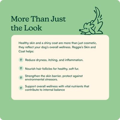 Show full view: Reggie Evening Skin & Coat Chew Pork Flavored Soft Chew Skin & Coat Supplement for Dogs, 60 count slide 4 of 8