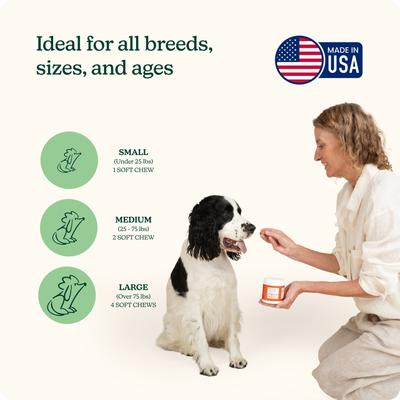 Show full view: Reggie Morning Hip & Joint Pork Flavored Soft Chew Mobility Supplement for Dogs, 60 count slide 5 of 8