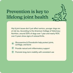 Reggie Morning Hip & Joint Pork Flavored Soft Chew Mobility Supplement for Dogs, 60 count slide 2 of 6