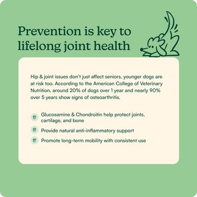 Show full view: Reggie Morning Hip & Joint Pork Flavored Soft Chew Mobility Supplement for Dogs, 60 count slide 4 of 8