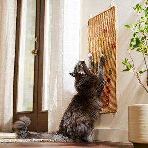 Frisco Cactus Wall Mounted Cat Scratching Mat