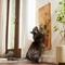 Show in main carousel: Frisco Cactus Wall Mounted Cat Scratching Mat slide 1 of 9