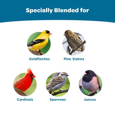 Show full view: Kaytee Smart & Small Feeder Refill Seed Blends Wildbird Food, 2-lb bag, 6 count slide 4 of 11