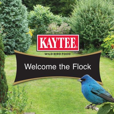 Show full view: Kaytee Smart & Small Feeder Refill Seed Blends Wildbird Food, 2-lb bag, 6 count slide 8 of 11