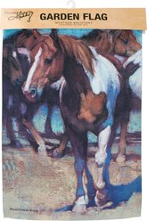 Primitives By Kathy Painted Horse Garden Flag