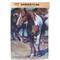 Show in main carousel: Primitives By Kathy Painted Horse Garden Flag slide 1 of 4